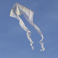 wind sock