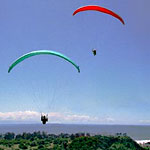 Paragliders